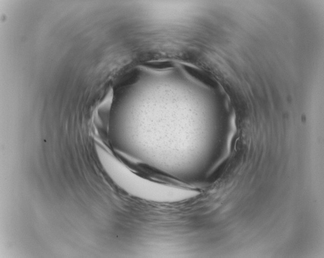 X0000088661298200706152022