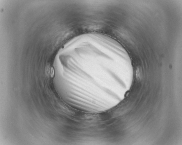 X0000088661299200706152022