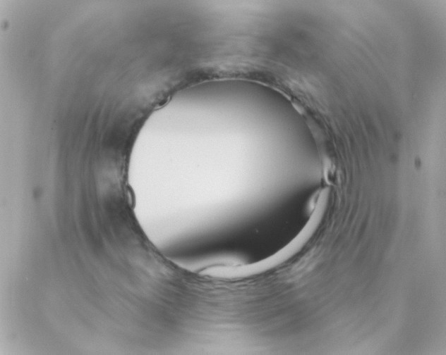 X0000088661300200706152022