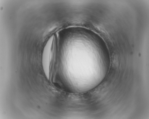 X0000088661301200706152022