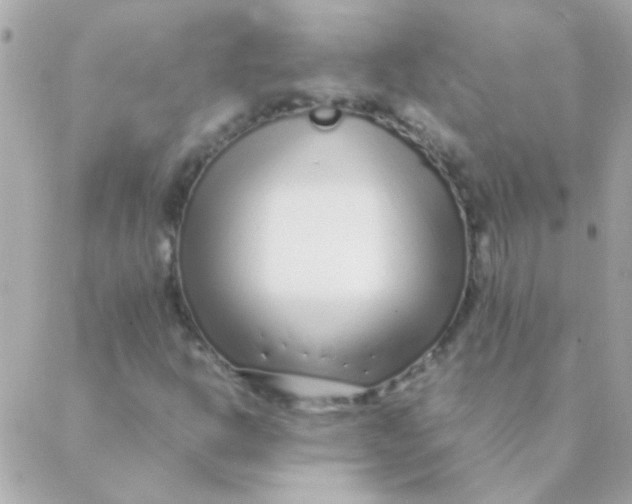 X0000088661302200706152022