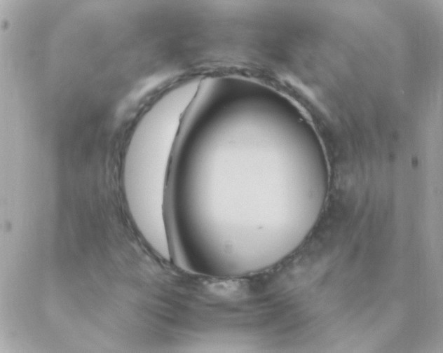 X0000088661303200706152022