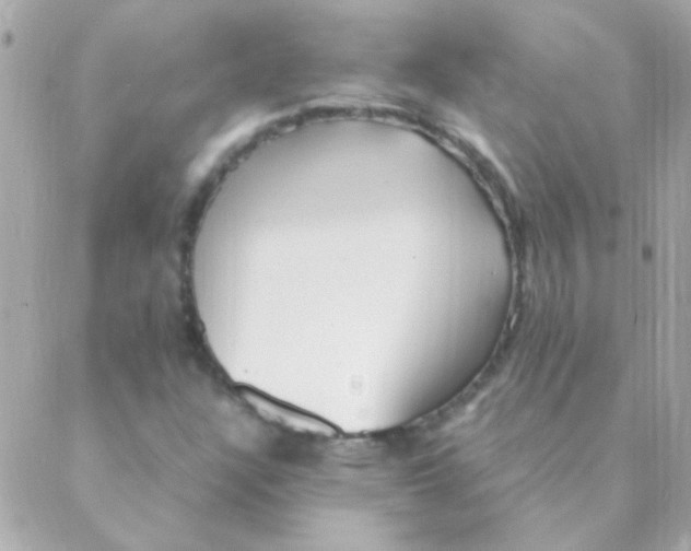 X0000088661304200706152022