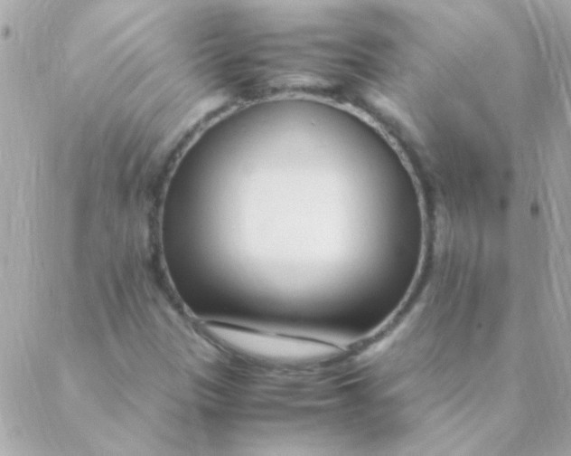 X0000088661305200706152022