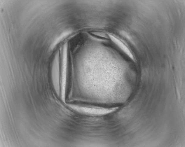 X0000088661307200706152022