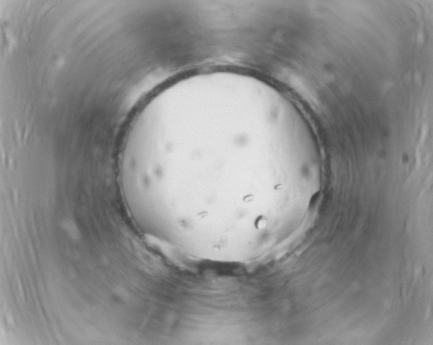 X0000088661308200706152022