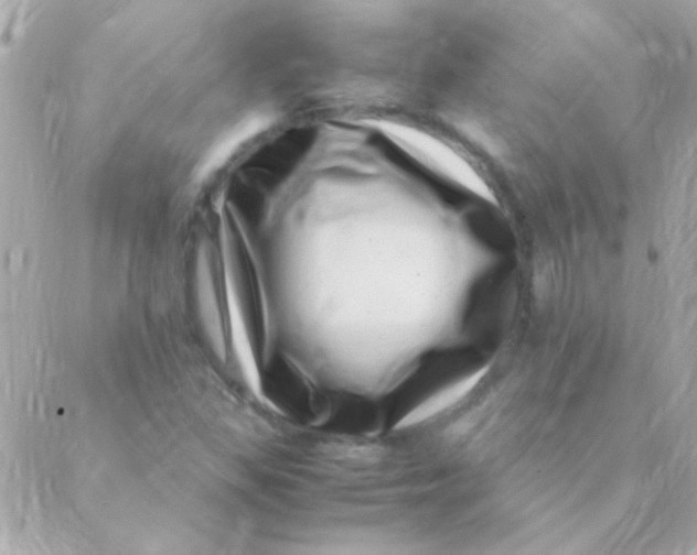 X0000088661309200706152022