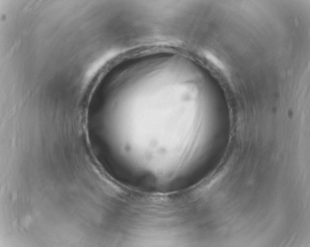 X0000088661310200706152022