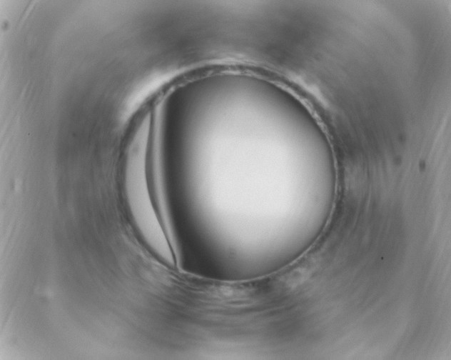 X0000088661311200706152022