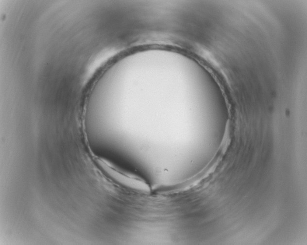 X0000088661312200706152022