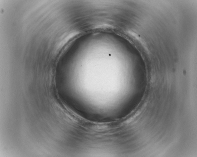 X0000088661313200706152022