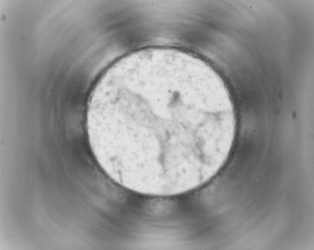 X0000088661314200706152022