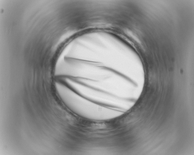 X0000088661315200706152022