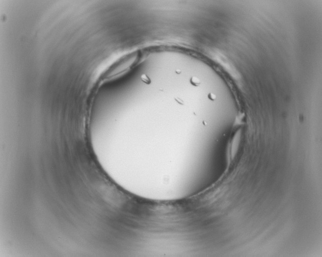 X0000088661316200706152022