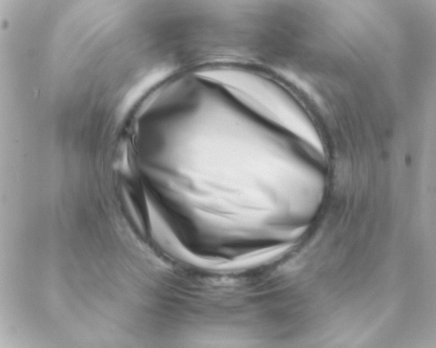 X0000088661317200706152022