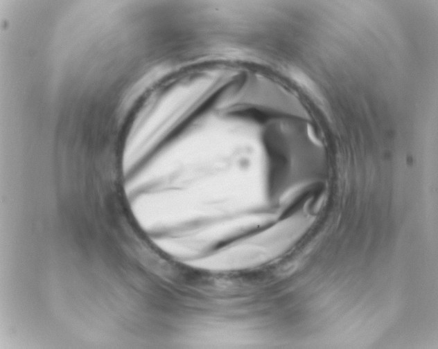 X0000088661318200706152022