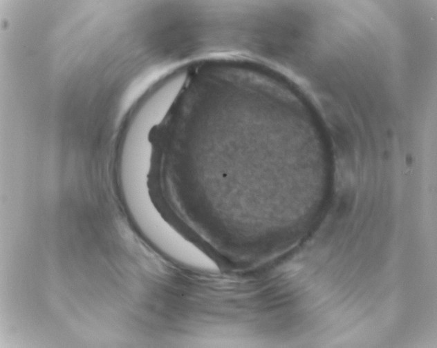 X0000088661319200706152023