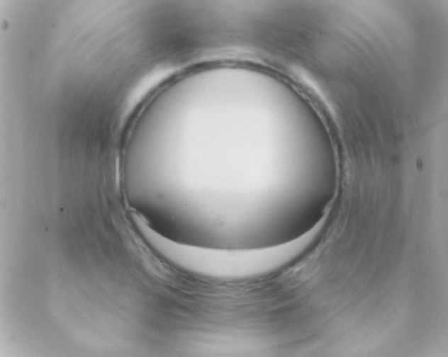 X0000088661320200706152023