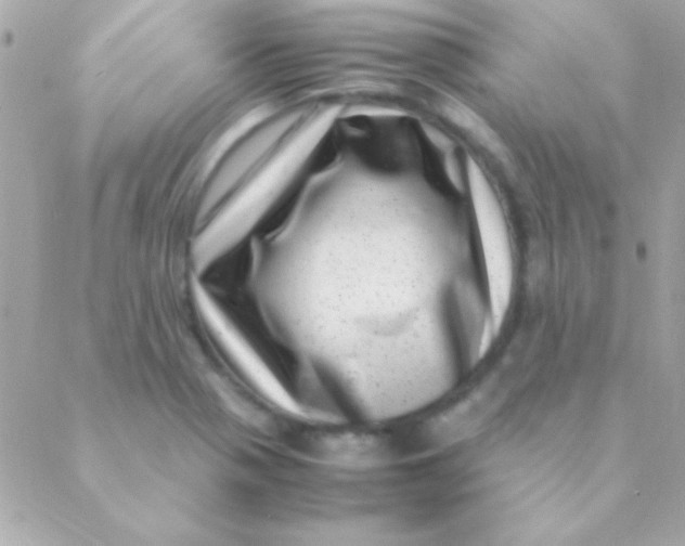 X0000088661321200706152023