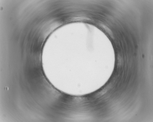 X0000088661322200706152023