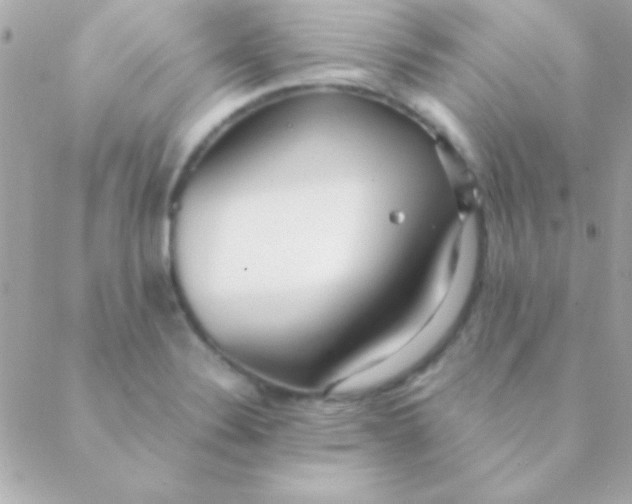 X0000088661324200706152023