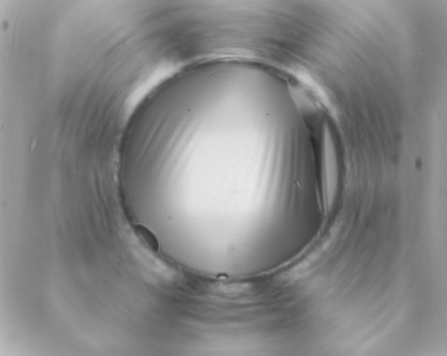 X0000088661325200706152023