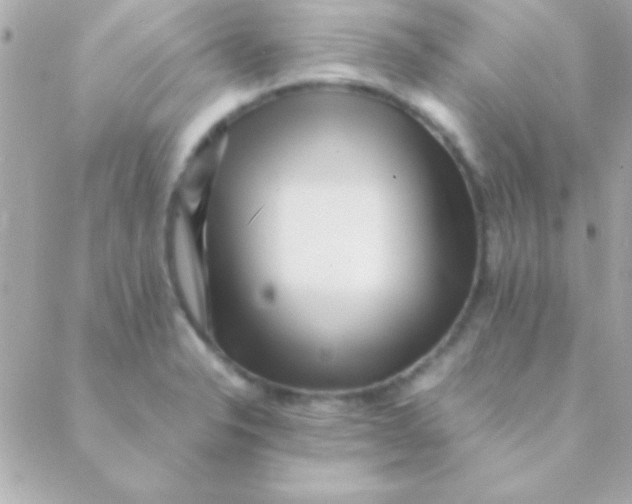 X0000088661326200706152023