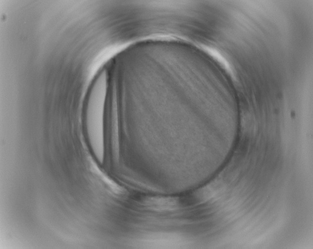 X0000088661327200706152023