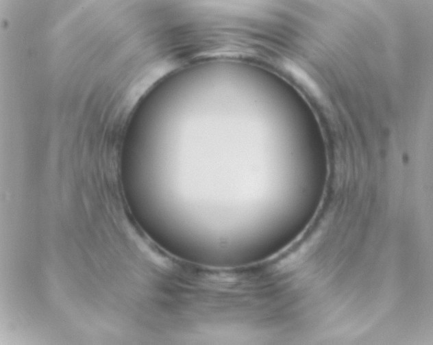 X0000088661329200706152023