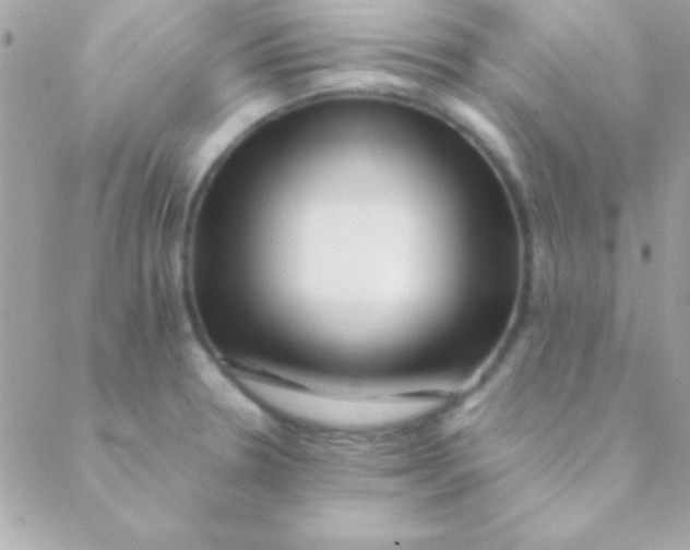 X0000088661330200706152023