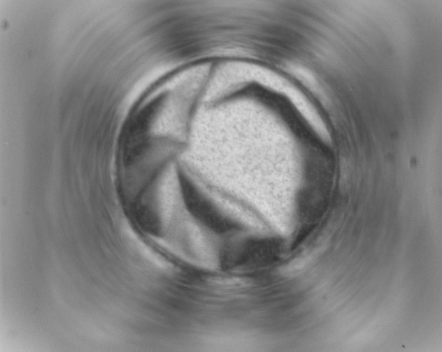 X0000088661331200706152023