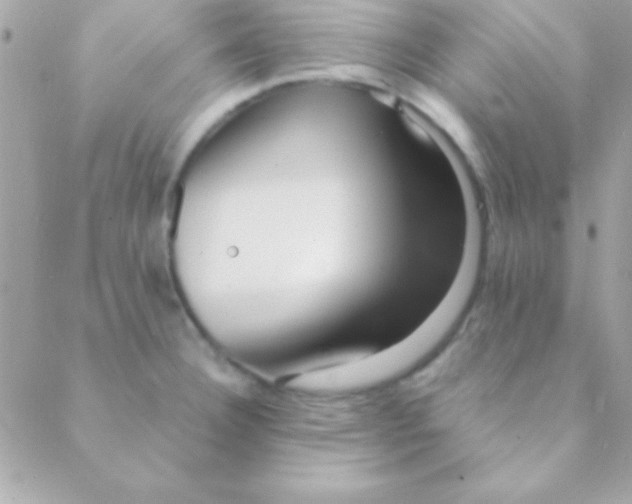 X0000088661332200706152023