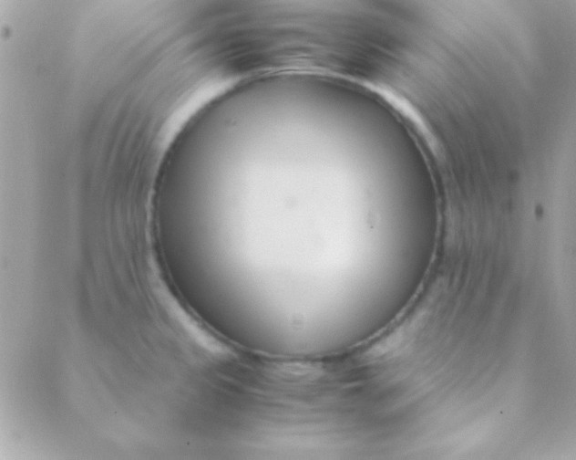 X0000088661333200706152023