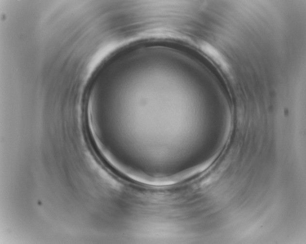 X0000088661334200706152023