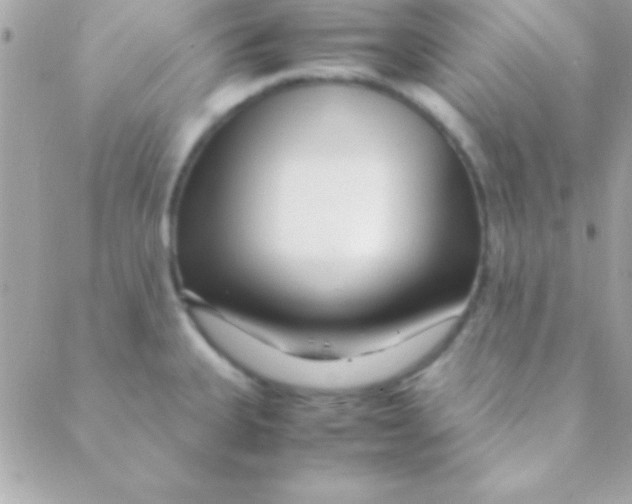 X0000088661335200706152023