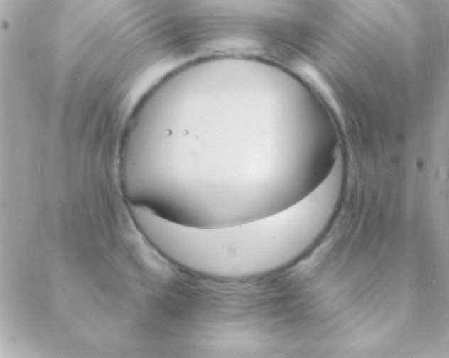 X0000088661336200706152023