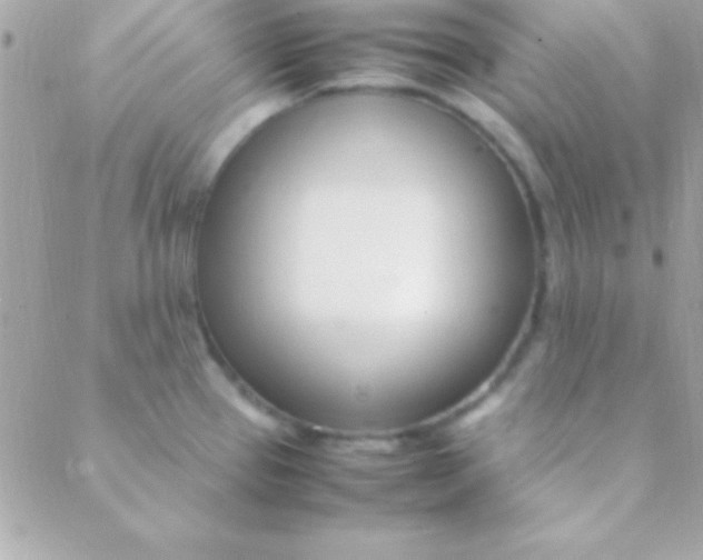 X0000088661337200706152023