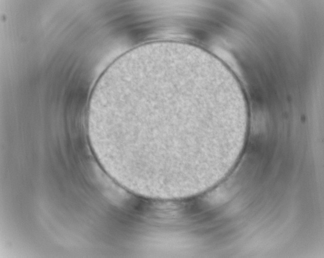 X0000088661338200706152023