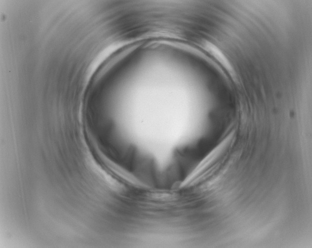 X0000088661339200706152023