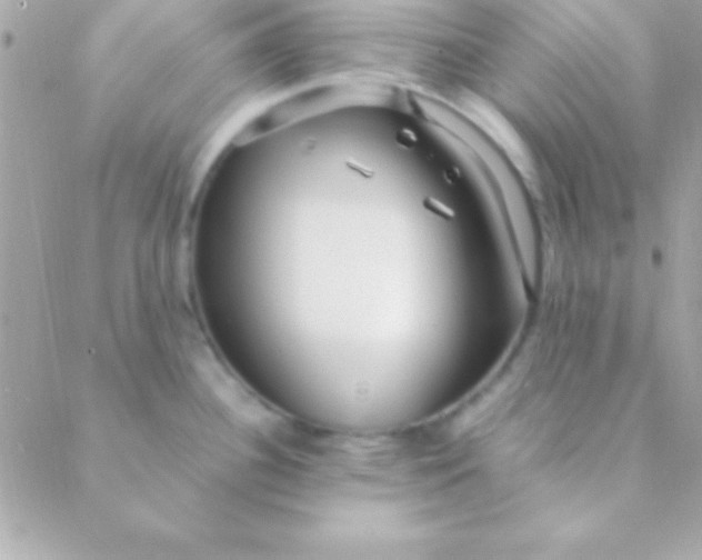 X0000088661340200706152023