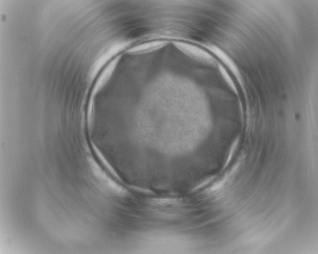 X0000088661341200706152023