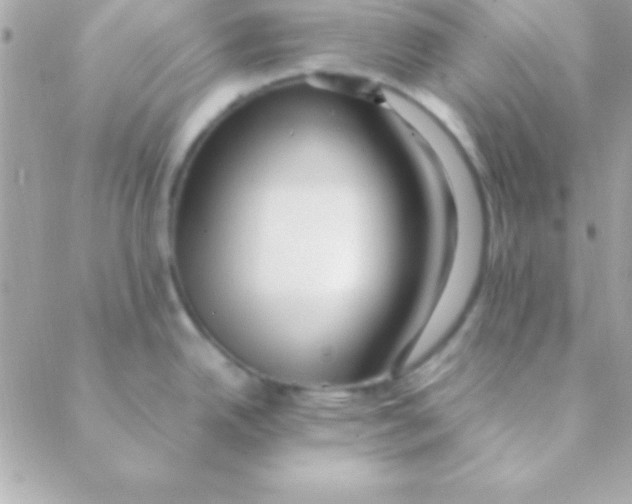 X0000088661342200706152023