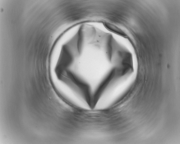 X0000088661343200706152023