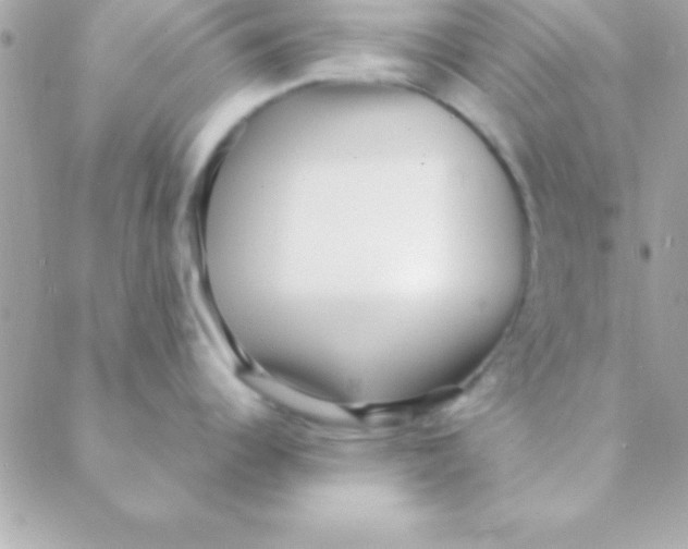 X0000088661344200706152023