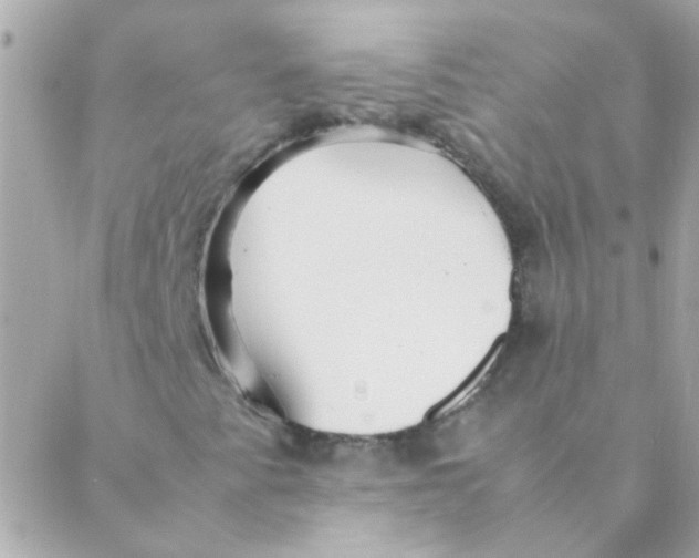 X0000088661345200706152022