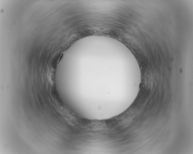 X0000088661346200706152022