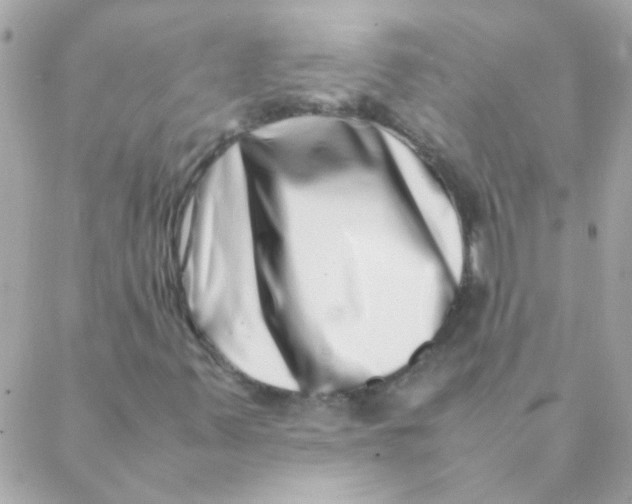 X0000088661347200706152022