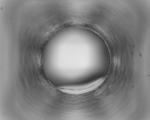 X0000088661348200706152022