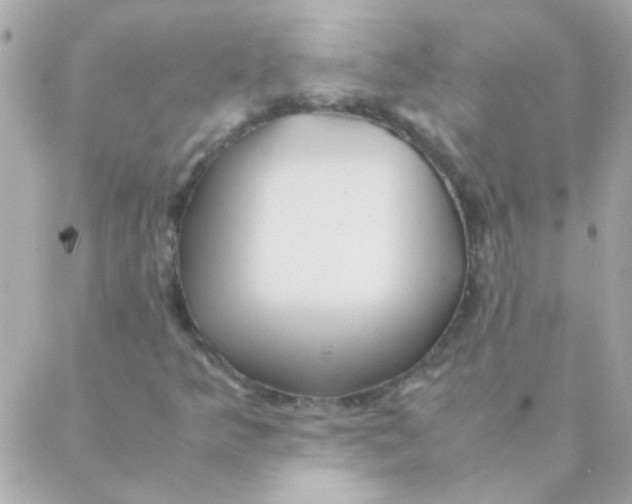 X0000088661349200706152022