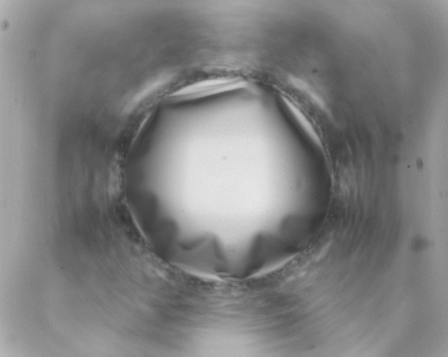 X0000088661350200706152022